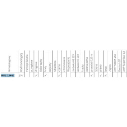 Halogen drogowy okrągły + osłona Fi 152 WESEM A.25380 HO3.17667