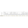 Halogen drogowy dalekosiężny kpl-2szt Wesem kratka 180x86mm HP2.14125