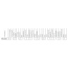 Komplet halogen reflektor przeciwmgielny Polonez Caro Truck Atu Plus HP1.12801