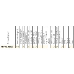 Reflektor przedni H4 złącze DT04-6P lewy + prawy komplet REPR2.42720 REPR2.42721