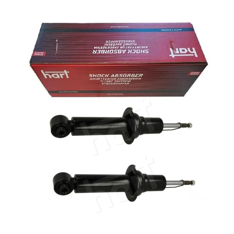 2x Amortyzator tył tylny Peugeot 407 (2005-...) 508 (2010-2018) 2x Amortyzator tył tylny Peugeot 407 (2005-...) 508 (2010-2018)