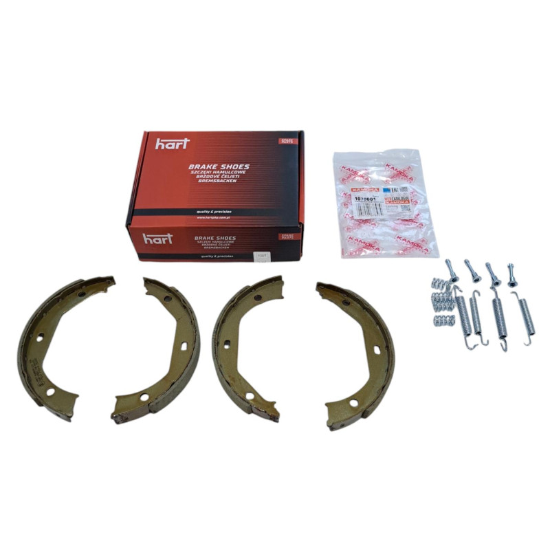 Szczęki hamulcowe sprężynki BMW E46 E90 E93 E39 E81 E87 Szczęki hamulcowe sprężynki BMW E46 E90 E93 E39 E81 E87