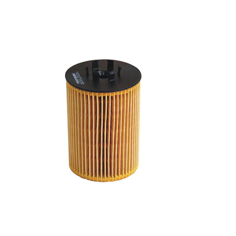 Filtr oleju BMW E60 E53 E63 E64 E61 OE672/1
