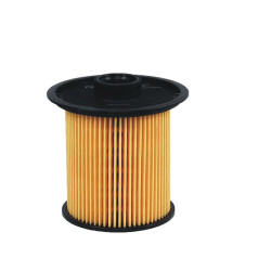 Filtr paliwa Renault Clio II Megane Scenic Laguna Kangoo PE815/2
