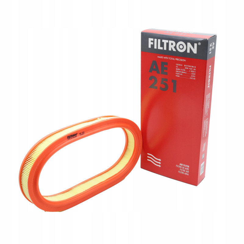 Filtr powietrza AE251 Ford Escort Fiesta Orion | TomCzesci.pl