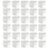 30x Pojemniki pojemnik plastikowe z pokrywą 240 ml