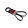 Pasek klinowy Seicento Cinquecento 1.1 4PK545