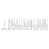 Halogen przeciwmgielny metalowy chrom klasyk 0610.44821