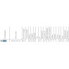 Reflektor przedni VW Golf 2 Golf II H4 WESEM