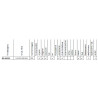 Reflektor przedni VW Golf I Wesem 035-RE.06626