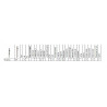 Reflektor lampa Fiat 600 typ H4 WESEM