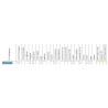 Halogen drogowy okragly przedni CHROM Wesem HO2.15260