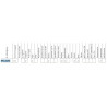 Reflektor halogen dalekosięzny 180x86mm H3
